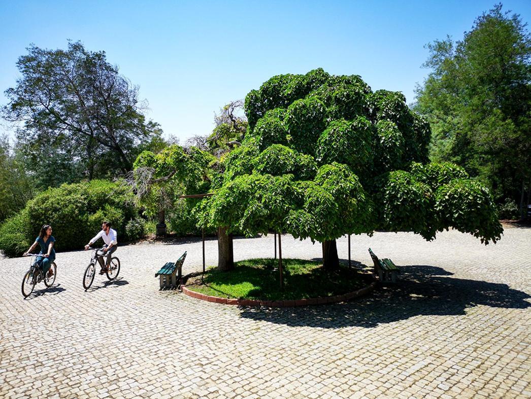 Herdade Clube Tiro Monfortinho Eksteriør billede